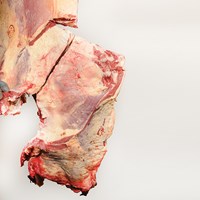 Neck and Chuck Eye bone in Meat Cut Spec Step 7